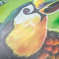 Stylized Toucan Skateboard Deck